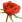 $rose